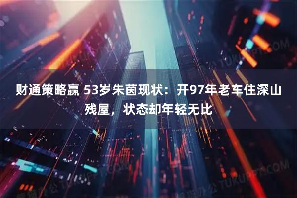 财通策略赢 53岁朱茵现状：开97年老车住深山残屋，状态却年轻无比
