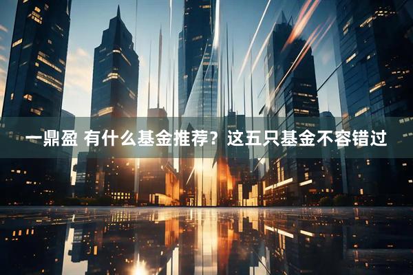 一鼎盈 有什么基金推荐？这五只基金不容错过