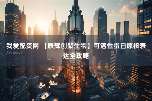 我爱配资网 【辰辉创聚生物】可溶性蛋白原核表达全攻略