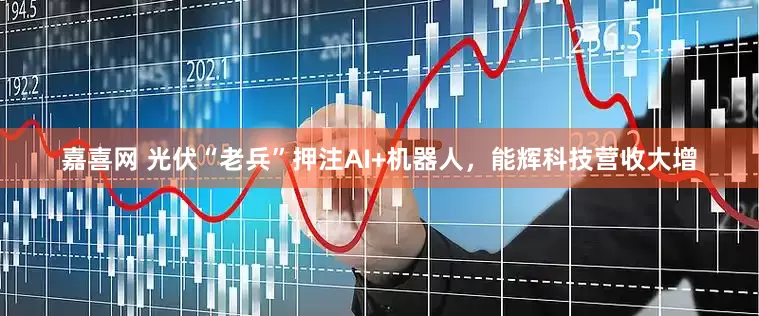嘉喜网 光伏“老兵”押注AI+机器人，能辉科技营收大增